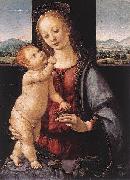 LORENZO DI CREDI Madonna and Child with a Pomegranate oil painting picture wholesale